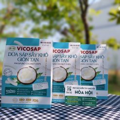DỪA SÁP SẤY GIÒN TAN VICOSAP - TÚI 25g